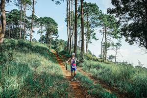 BIB: 
                            <button type="button" onclick="openModal(25672515)" class="btn btn-primary btn-sm float-right btn-popup" data-toggle="modal" data-target=".modal-high-quality">
                        <i class="fas fa-shopping-cart"></i> Add to Cart
                    </button>
                                            <button type="button" onclick="isThisMe(25672515, true)" class="btn btn-success btn-sm float-right btn-popup btn-isme hidden" data-toggle="tooltip" data-placement="bottom" title="นี่คือรูปของคุณใช่ไหม คลิกที่นี่เพื่อเอาเข้าอัลบั้ม">
                        <i class="fas fa-plus"></i> Add to album
                    </button>
                    <button type="button" onclick="isThisMe(25672515, false)" class="btn btn-warning btn-sm float-right btn-popup btn-isnotme hidden">
                        <i class="fas fa-ban"></i> Remove from album
                    </button>